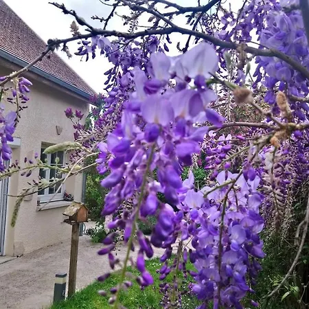 Gitelabaronnaise Avec Piscine Chauffee Pres Parc Asterix Дом отдыха