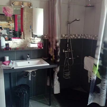 Gitelabaronnaise Avec Piscine Chauffee Pres Parc Asterix Baron (Oise)