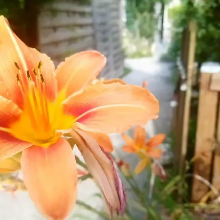 Gitelabaronnaise Avec Piscine Chauffee Pres Parc Asterix Baron (Oise)