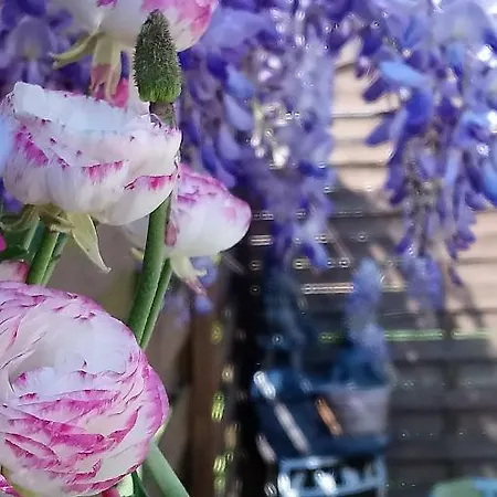 Gitelabaronnaise Avec Piscine Chauffee Pres Parc Asterix Дом отдыха