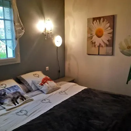 Hébergement de vacances Gîtelabaronnaise Avec Piscine Chauffée Prés Parc Asterix Baron (Oise)