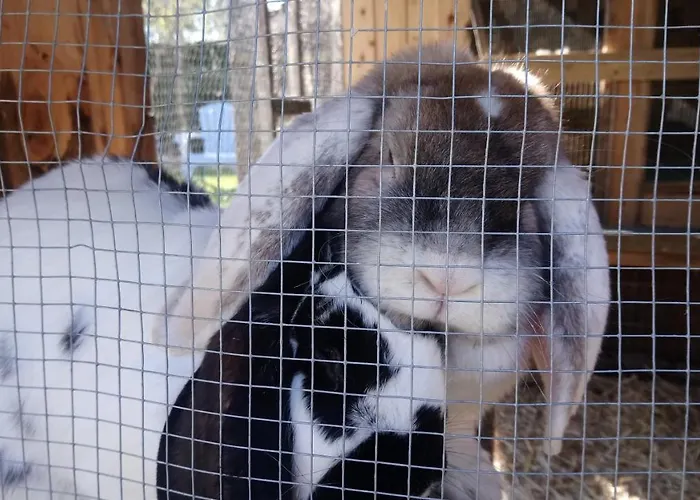 Holiday home Gitelabaronnaise Avec Piscine Chauffee Pres Parc Asterix *