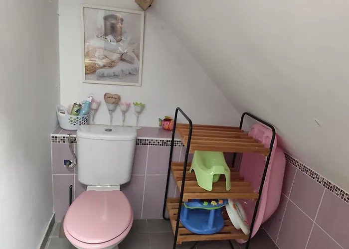 Gitelabaronnaise Avec Piscine Chauffee Pres Parc Asterix Holiday home