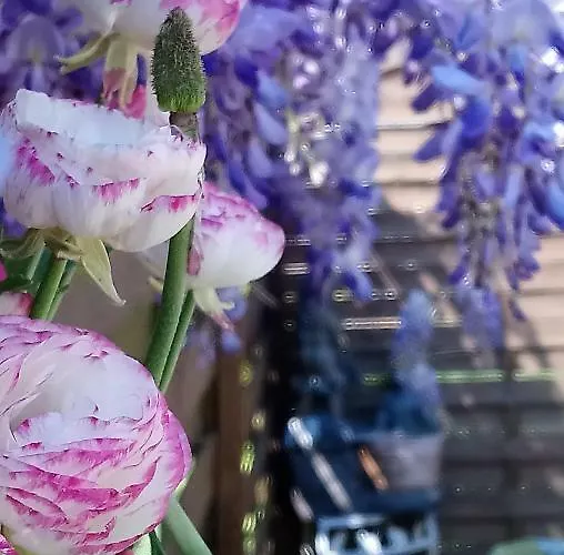 Gitelabaronnaise Avec Piscine Chauffee Pres Parc Asterix Holiday home